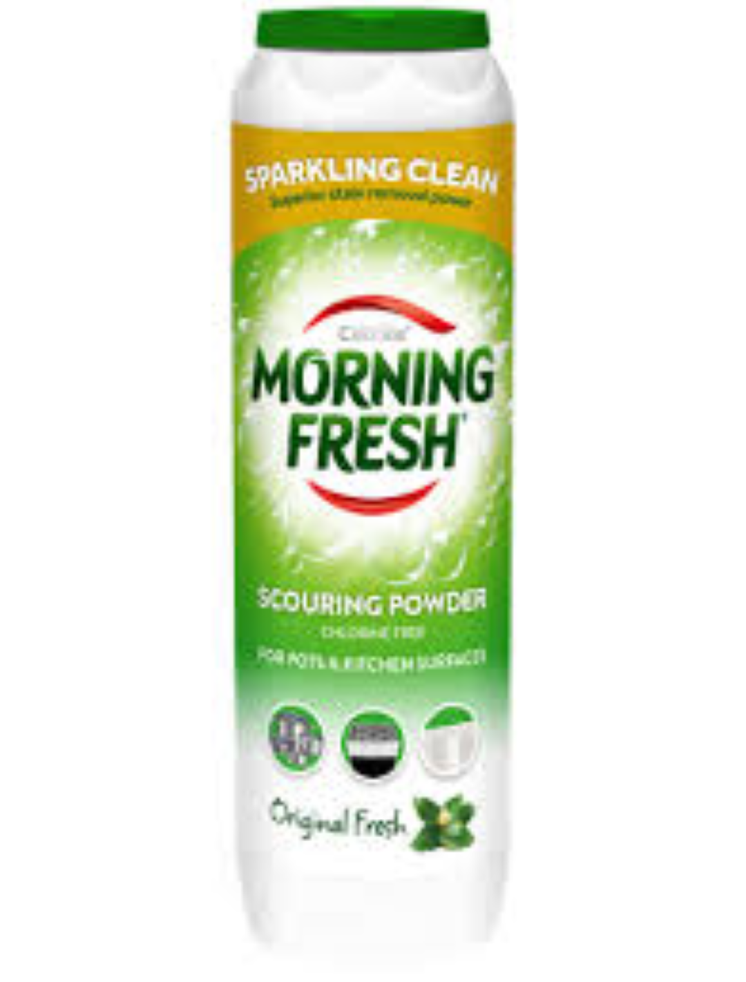 MORNING FRESH SCOURING POWDER 500G